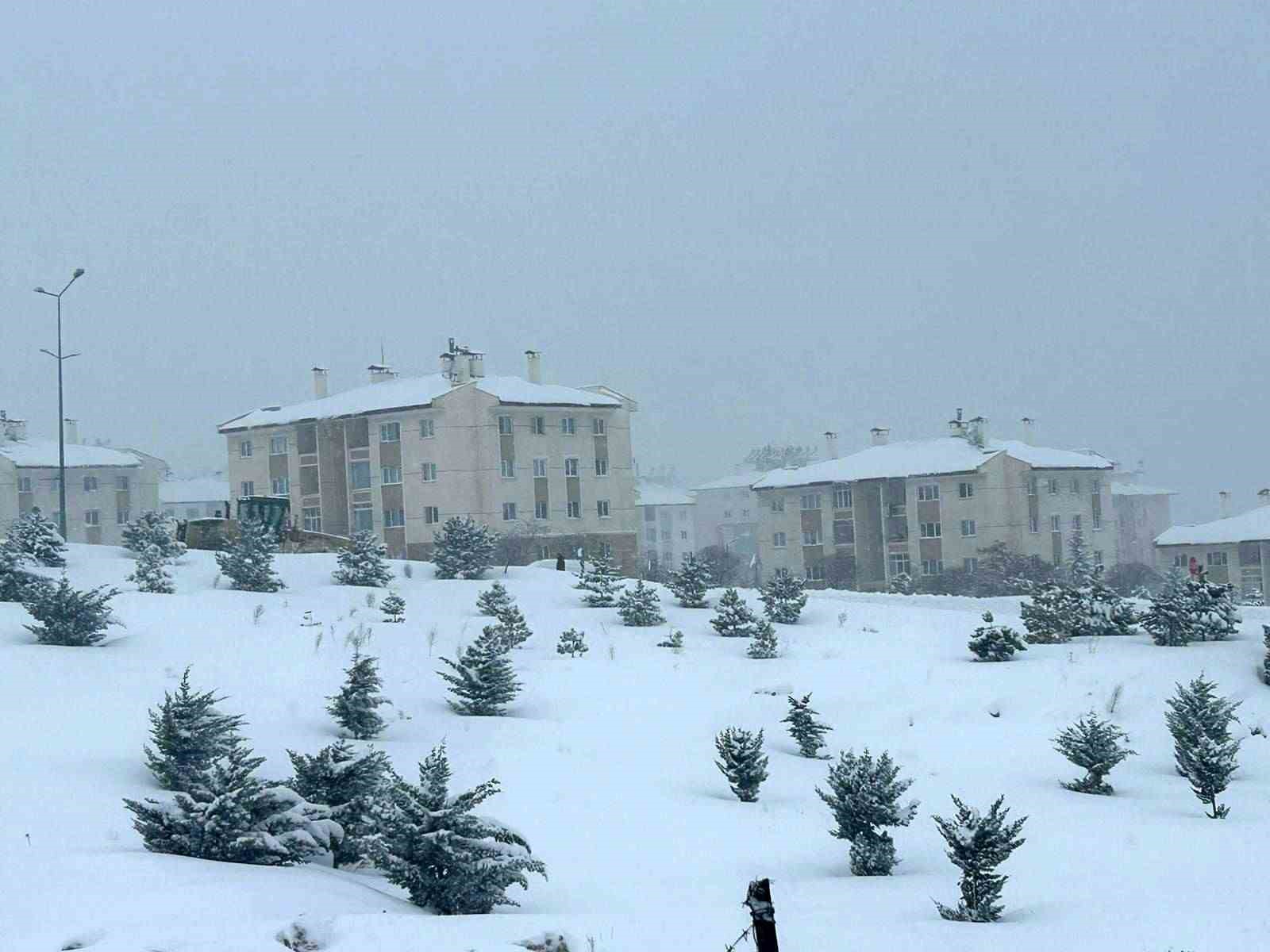 Van’da yoğun kar yağışı: 287 yerleşim yerine ulaşım sağlanamıyor
