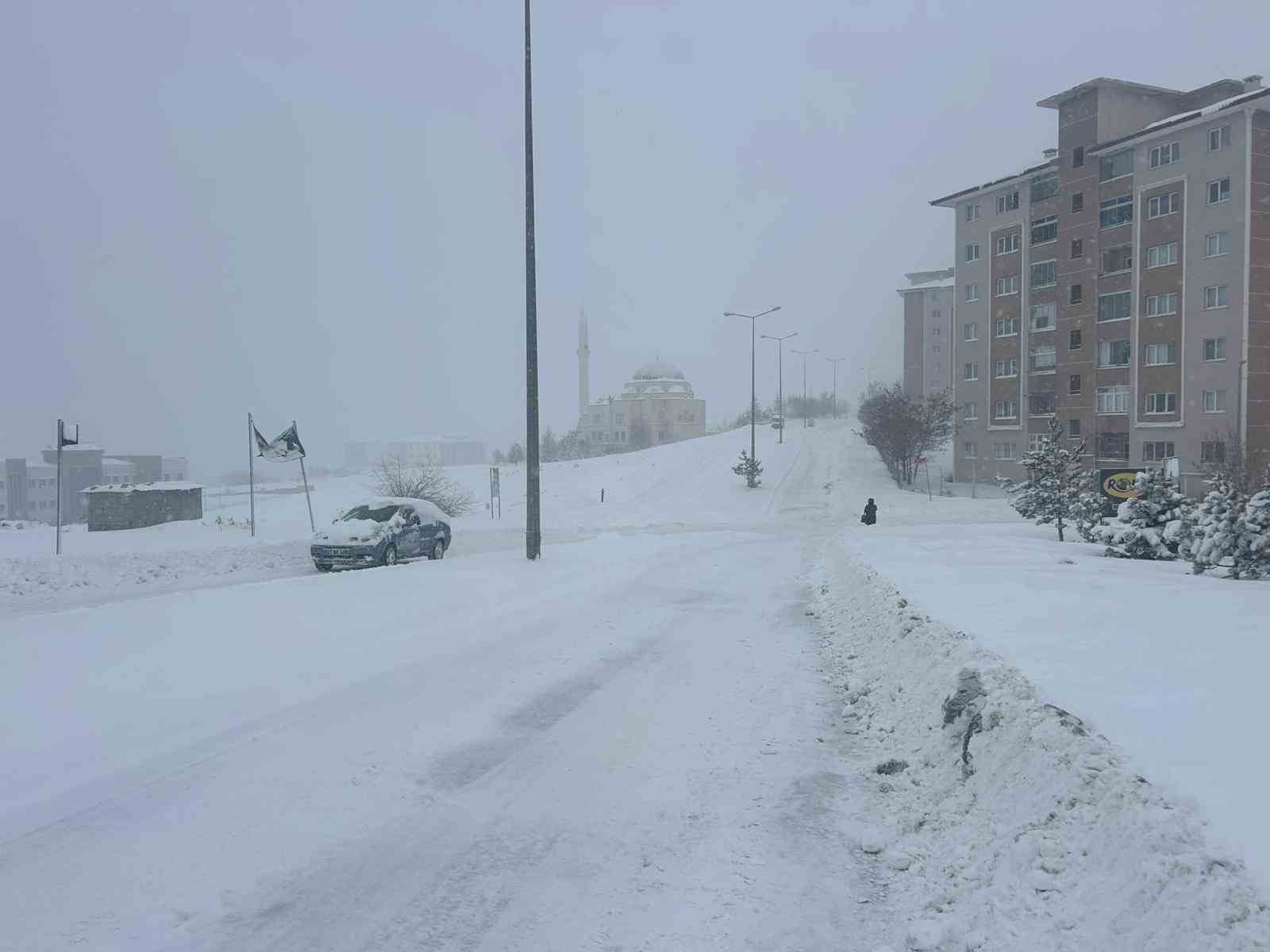 Van’da yoğun kar yağışı: 287 yerleşim yerine ulaşım sağlanamıyor
