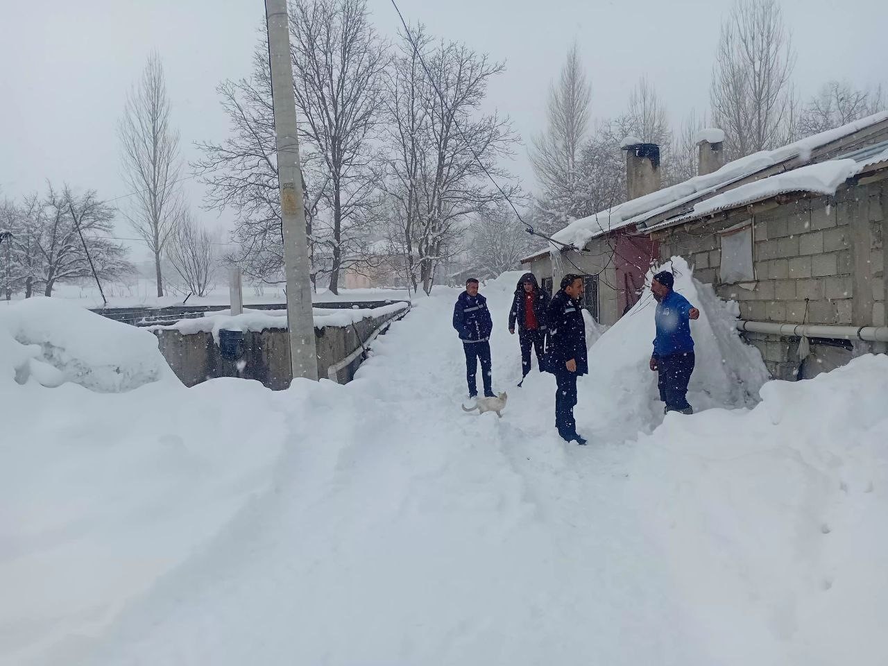 Van’da zorlu kış şartlarında alabalık üretimi mercek altında
