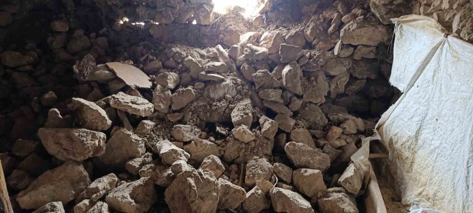 Van’daki depremde bir ahırın duvarı çöktü
