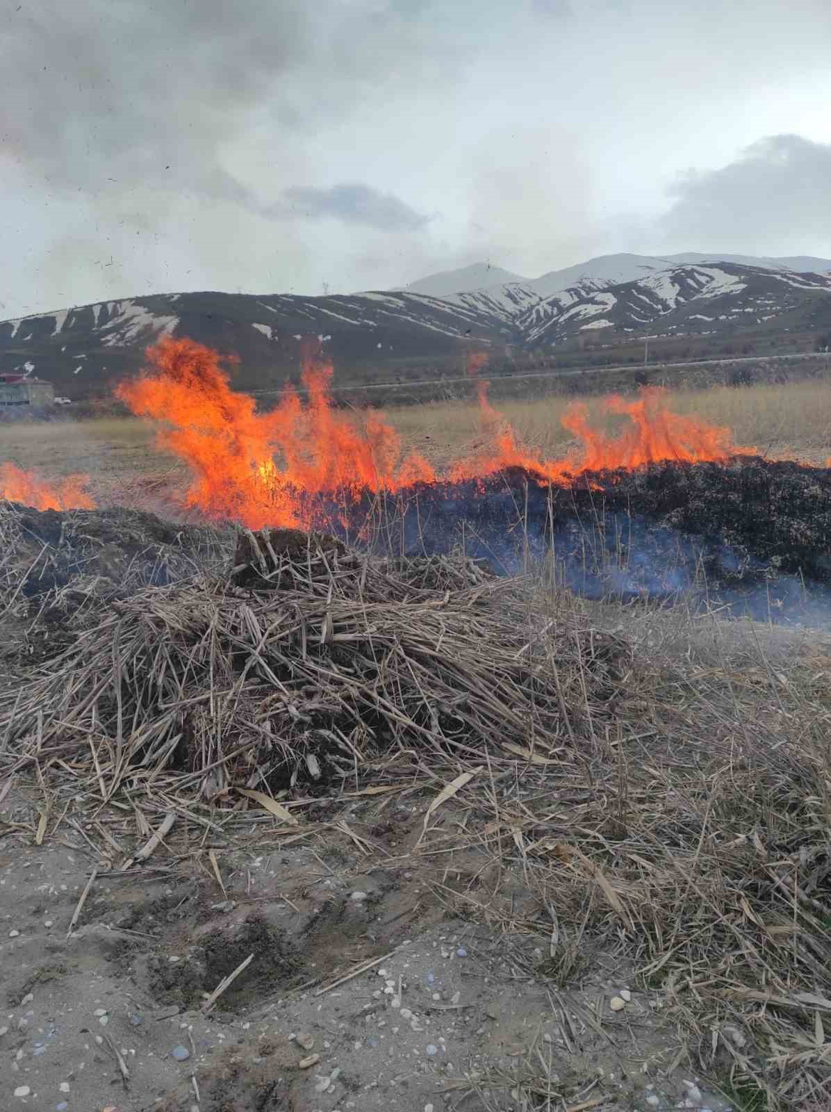 Van’ın Gevaş ilçesinde anız yangını
