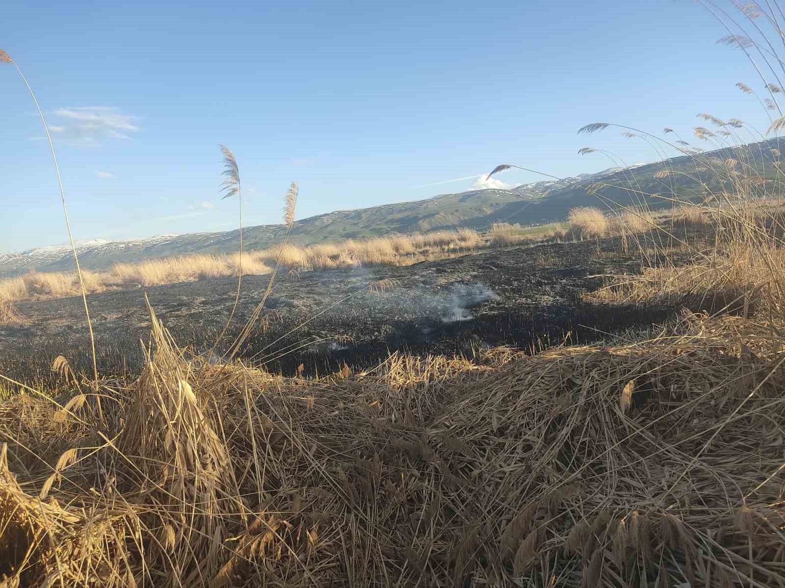 Van’ın Muradiye ilçesinde sazlık yangını
