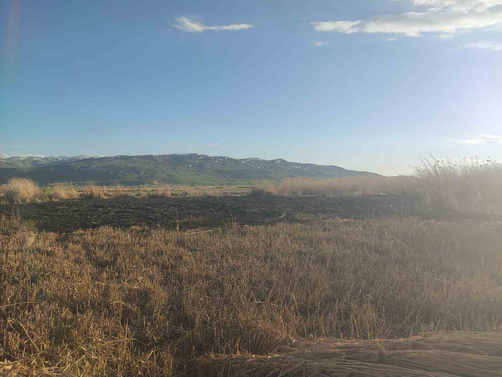 Van’ın Muradiye ilçesinde sazlık yangını
