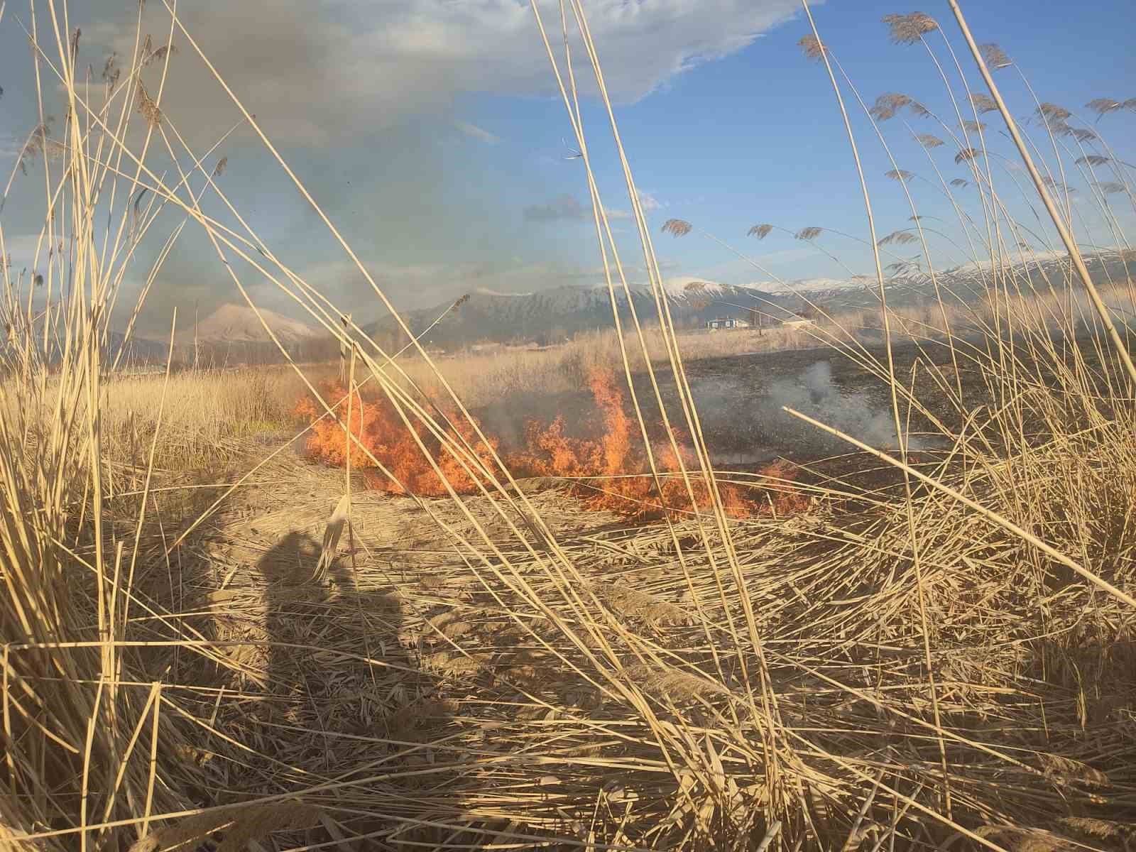 Van’ın Muradiye ilçesinde sazlık yangını
