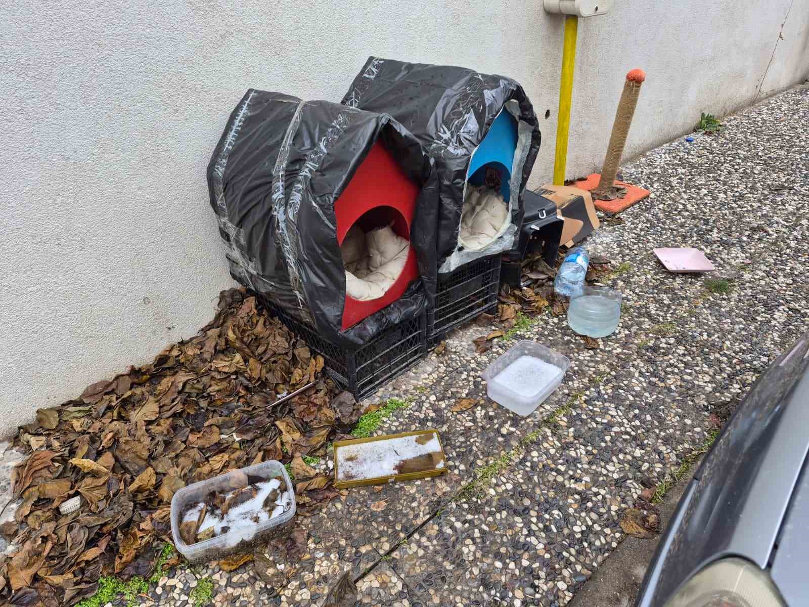 Vatandaşlardan sokak hayvanları için örnek davranış
