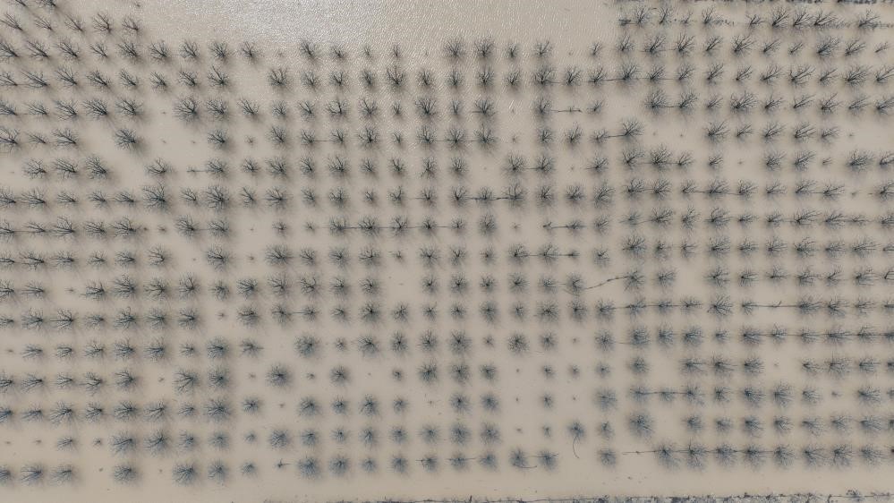 "Velhasıl sudan ibaret Bursa"nın dağı ovası suyla doldu
