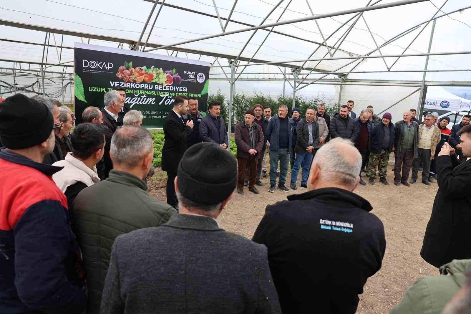 Vezirköprü’de çiftçiye 12 bin 500 meyve fidanı
