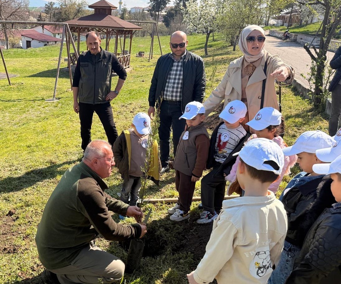 Vezirköprü’de minik eller fidan dikti
