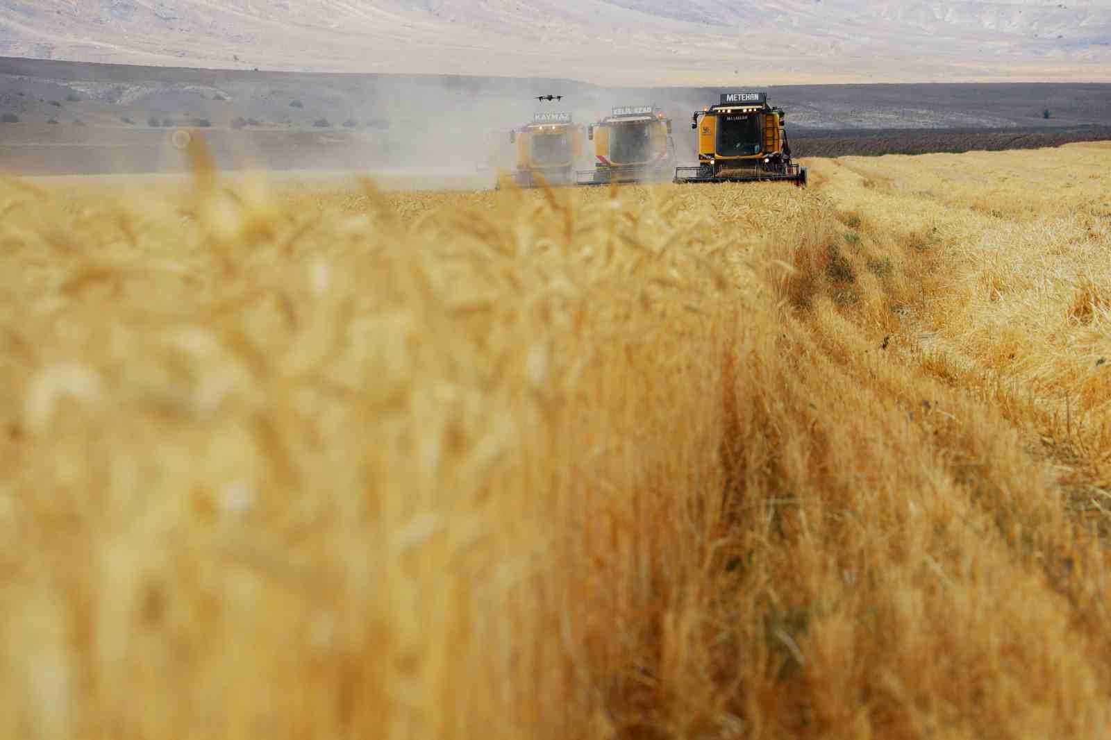 Yağan kar eridi, çiftçilerin yüzü güldü
Yağan kar eridi, çiftçilerin yüzü güldü