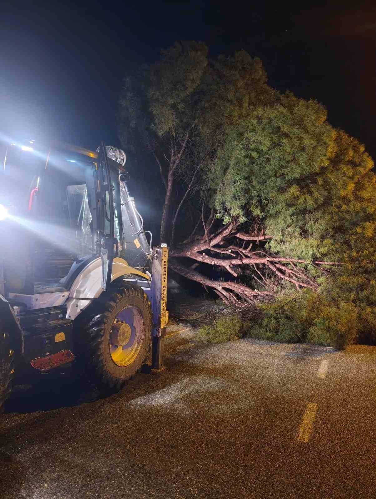 Yağış çam ağacını devirdi, ekipler çalışma başlattı
