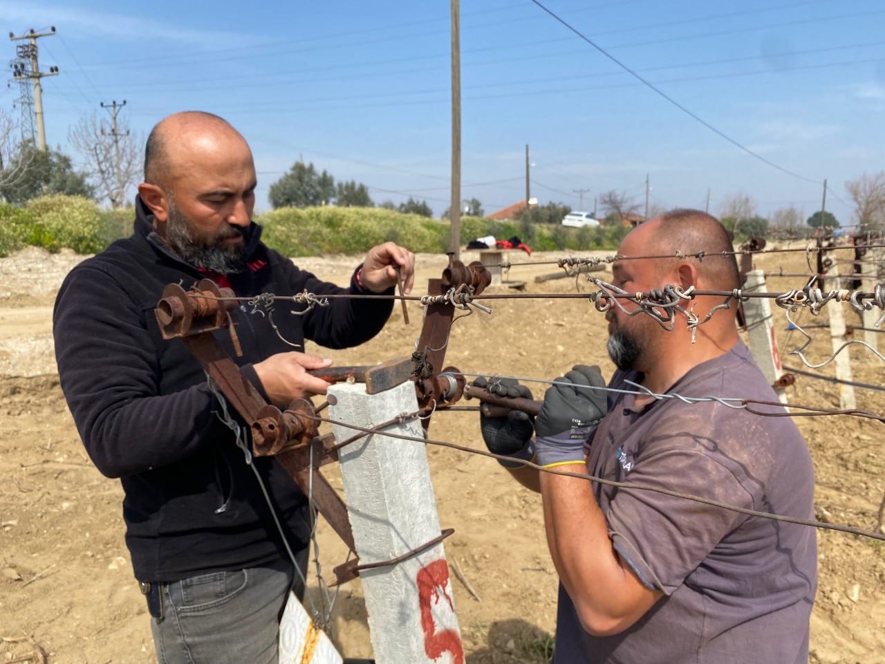 Yağışa teslim olan bağlar ayağa kalktı
