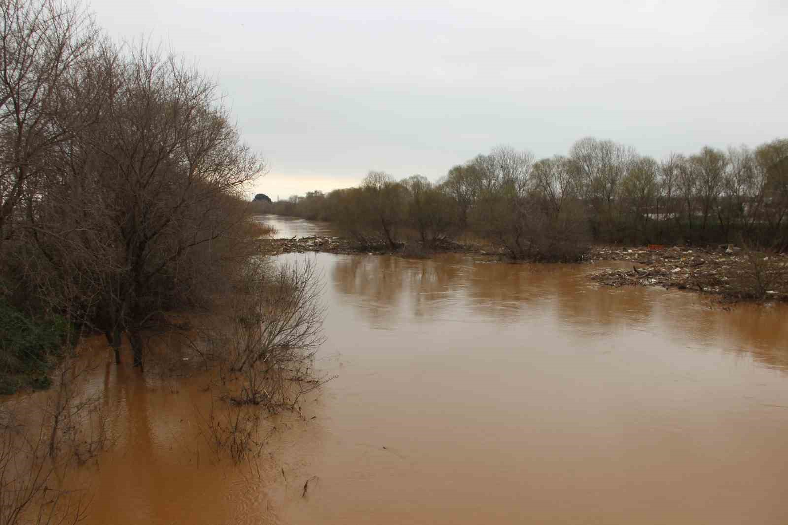 Yağışlar çiftçiyi umutlandırdı

