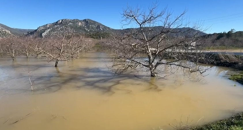 Yağışlar etkisini gösterdi Eğirdir Gölü’nde su seviyesi 25 santimetre arttı
