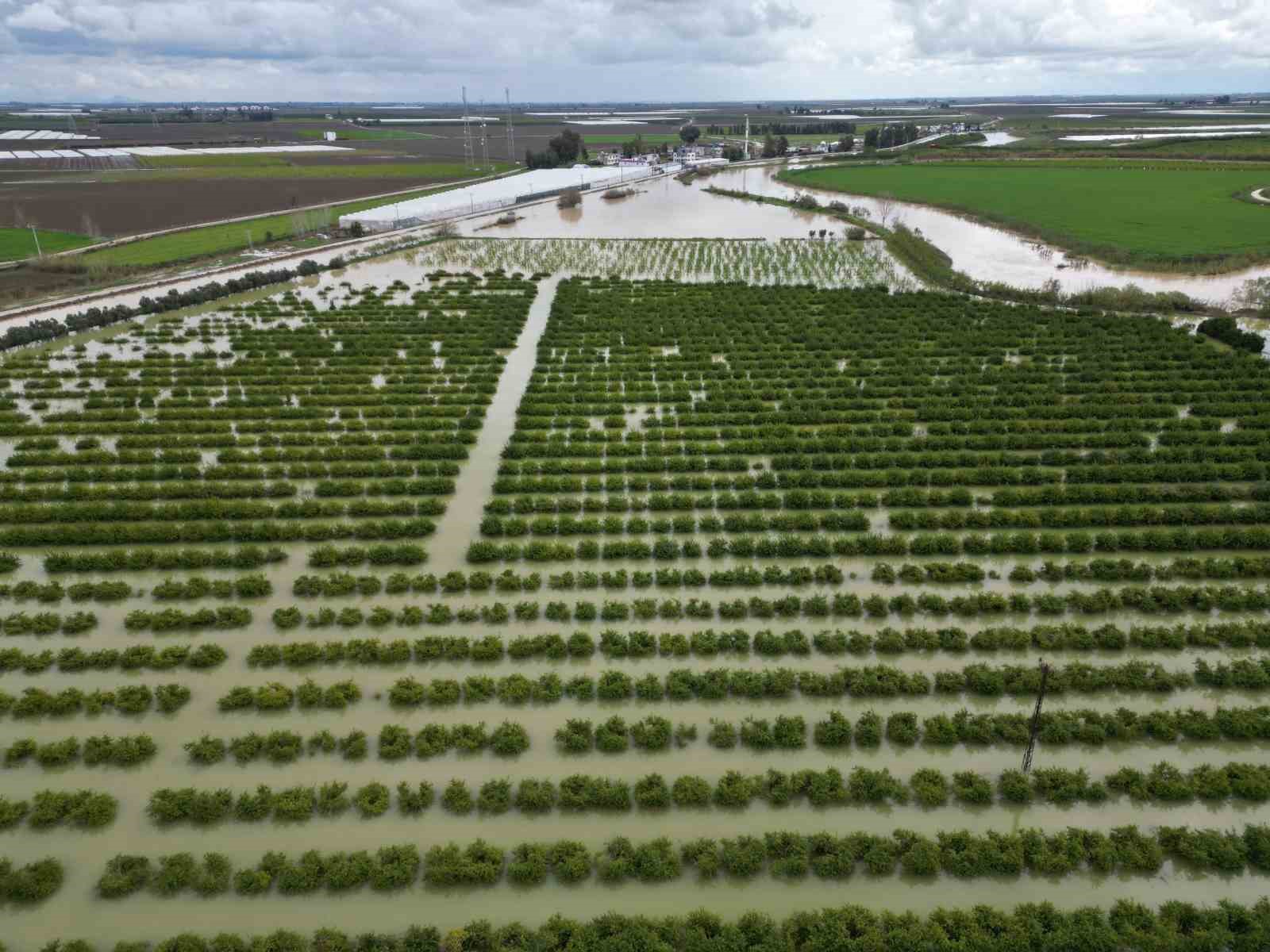 Yağışlar tarım arazilerini vurdu
