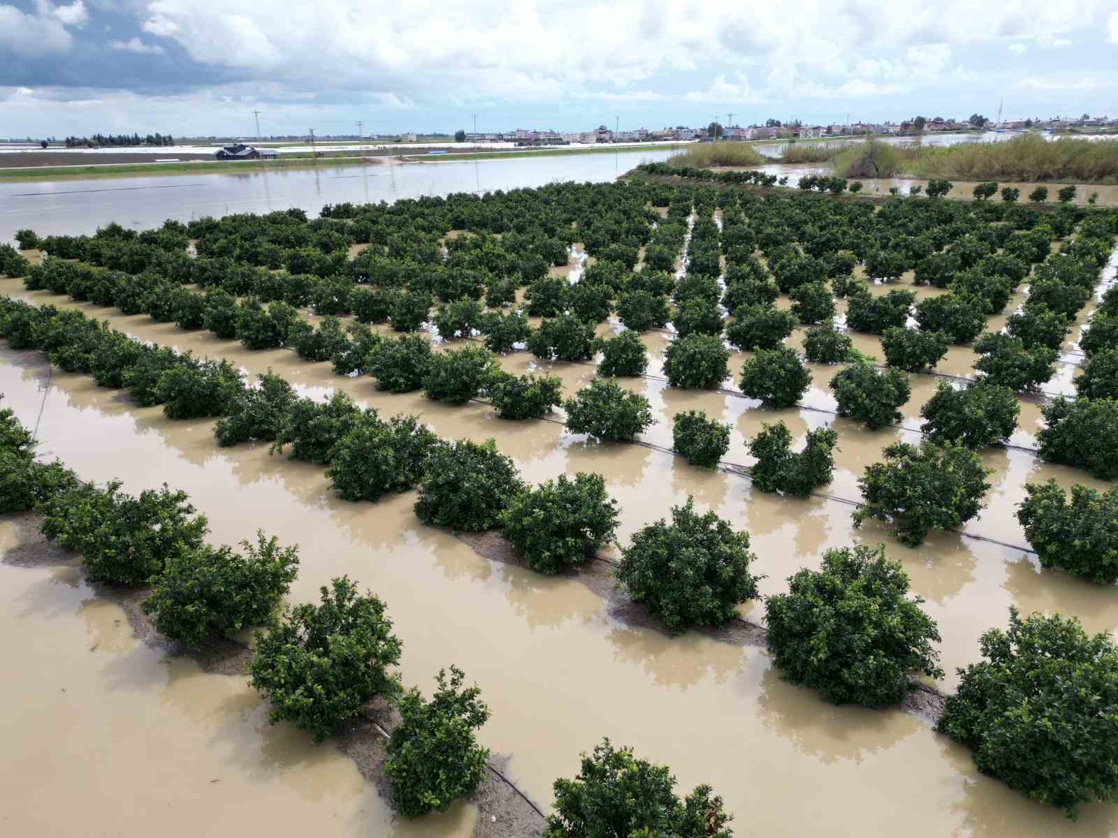 Yağışlar tarım arazilerini vurdu
