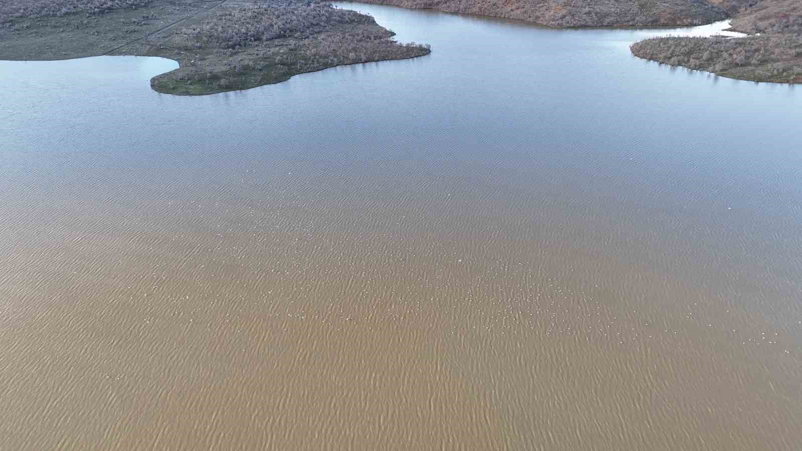 Yağışlarla birlikte Gülbahar Barajı yeniden doldu
