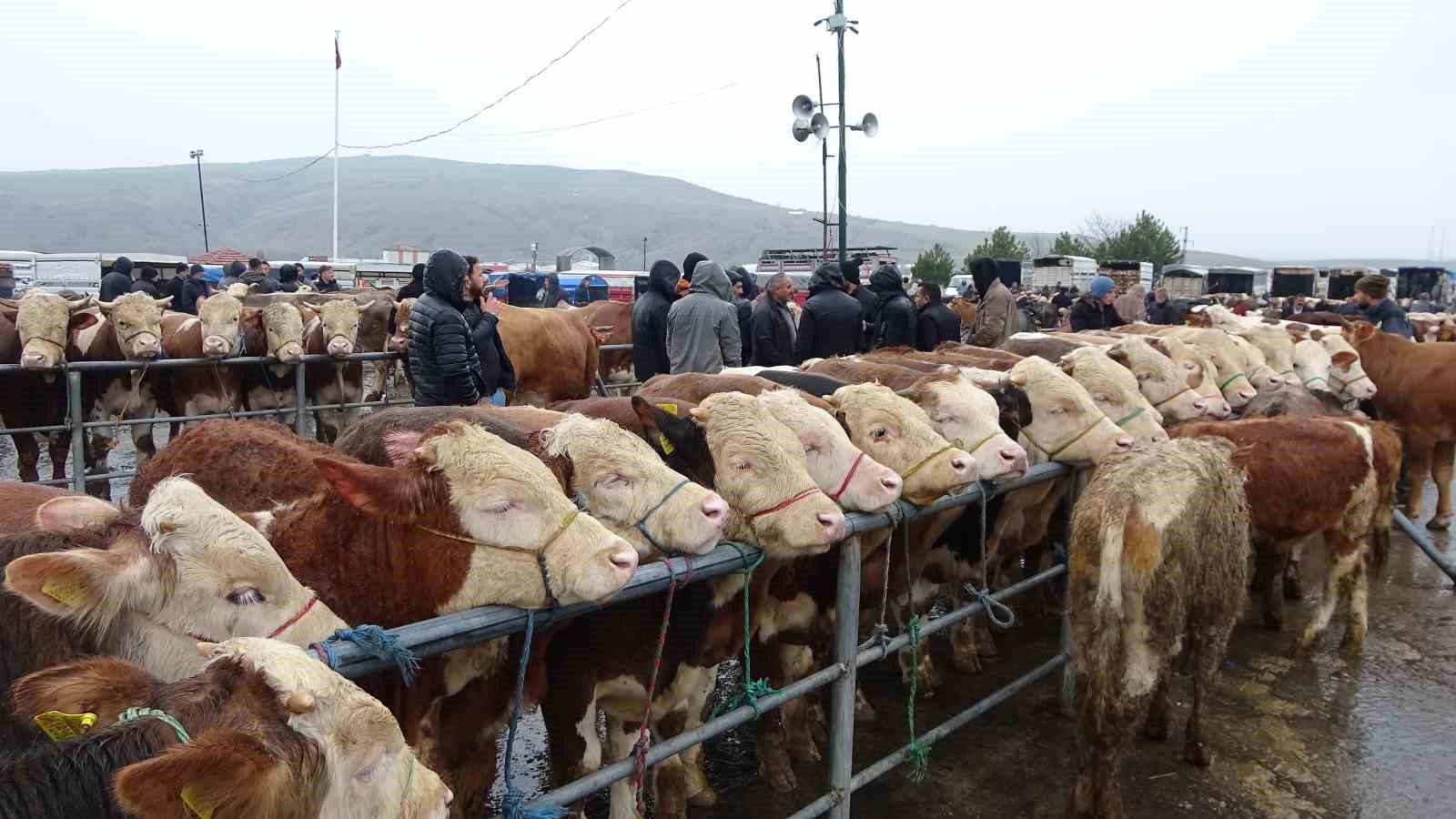 Yağışlı havaya aldırış etmeyen üreticiler ve alıcılar bu pazarda buluşuyor
