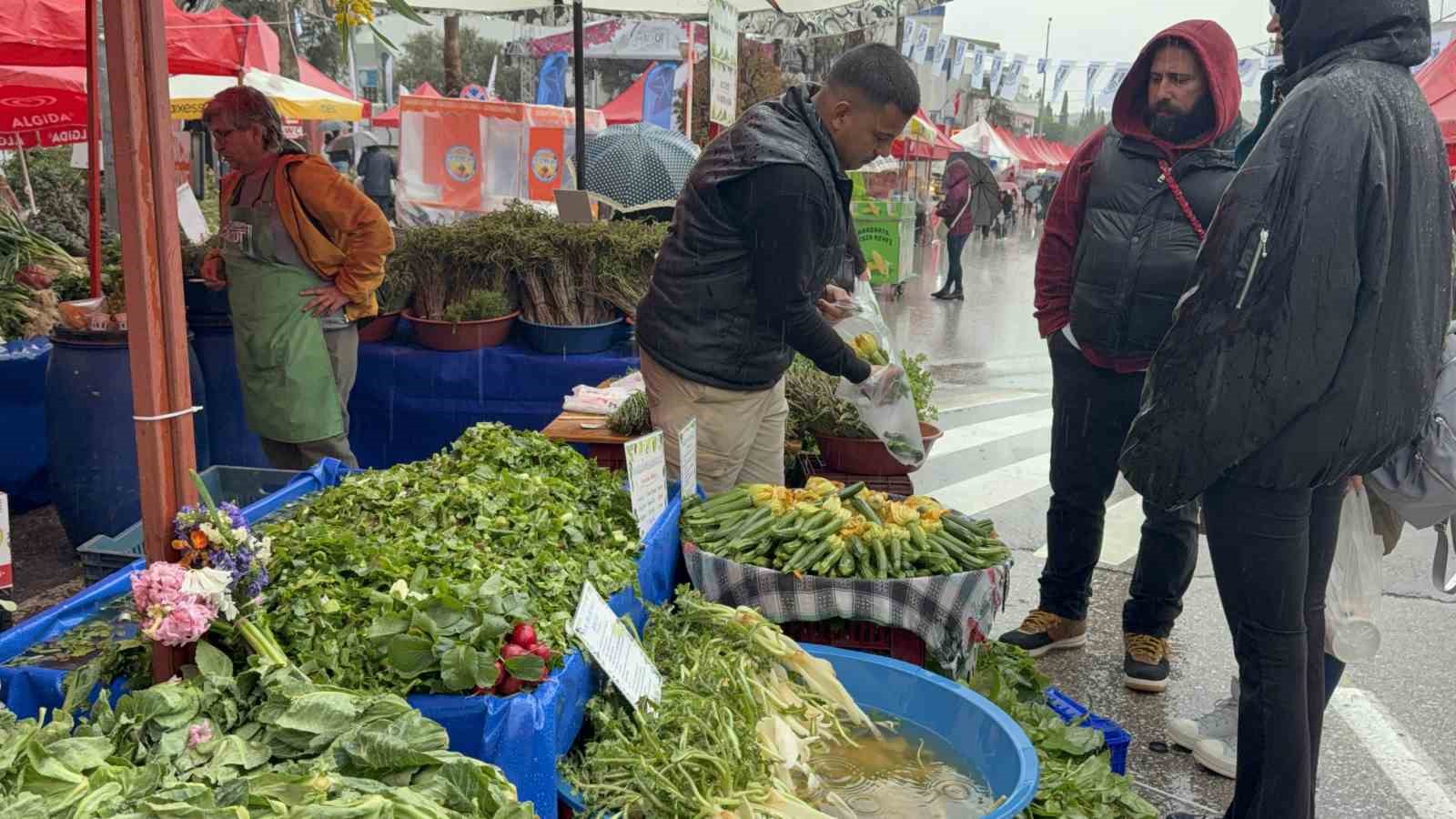 Yağmur dinlemediler: Bodrum Acı Ot Festivali’ne ziyaretçi akını
