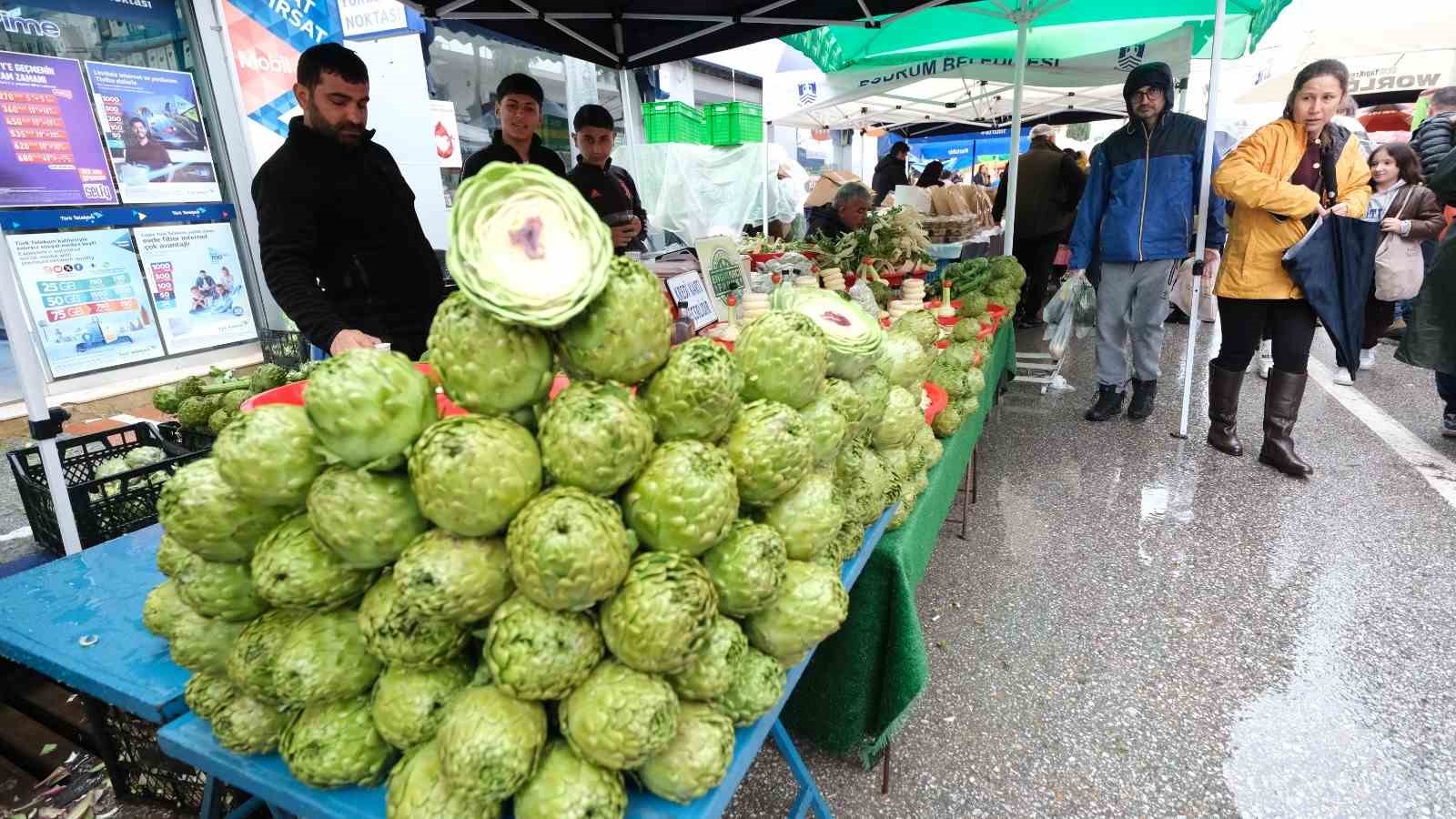 Yağmur dinlemediler: Bodrum Acı Ot Festivali’ne ziyaretçi akını
