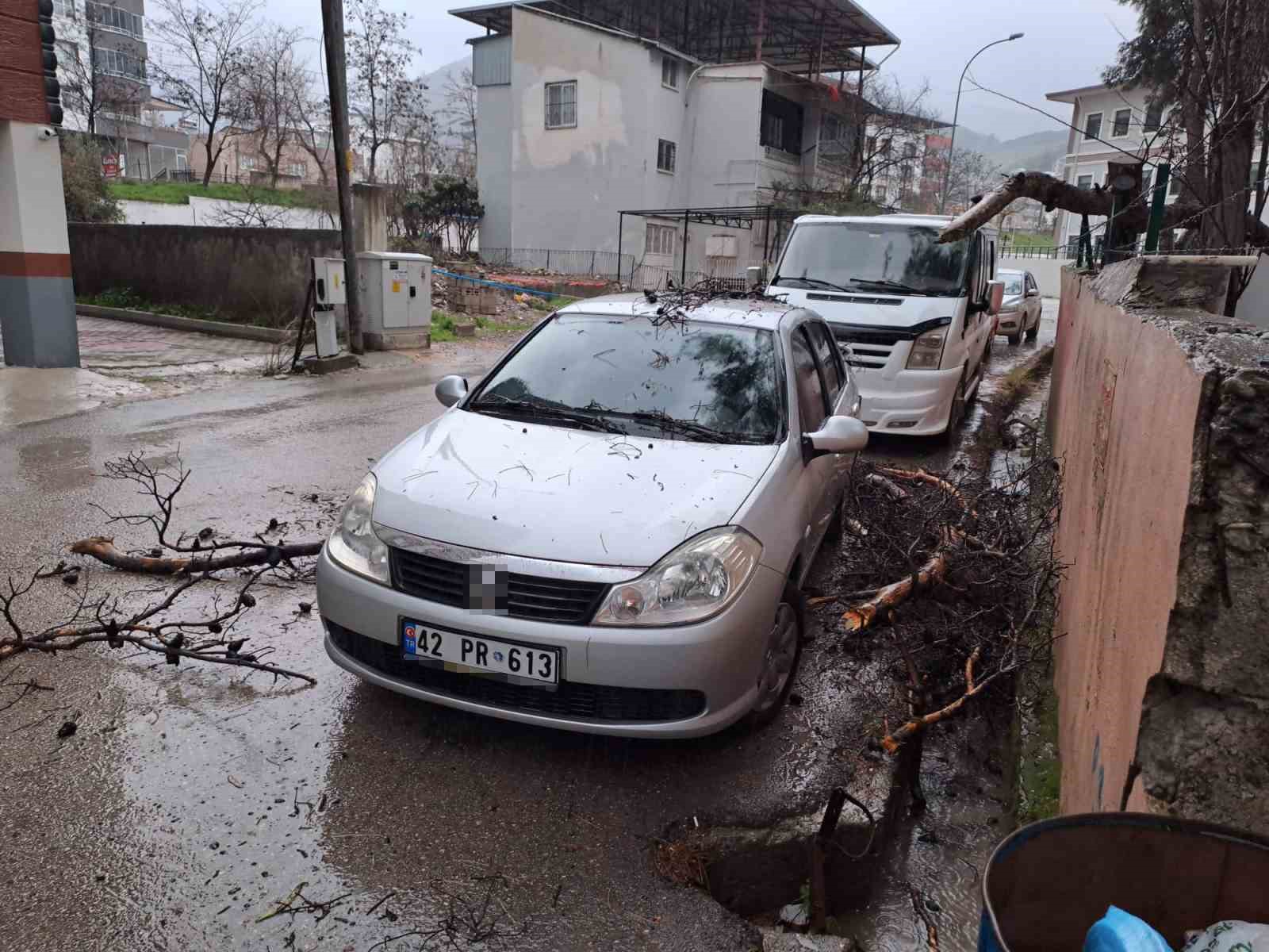 Yağmur ve şiddetli rüzgar çam ağacını devirdi, otomobil zarar gördü
