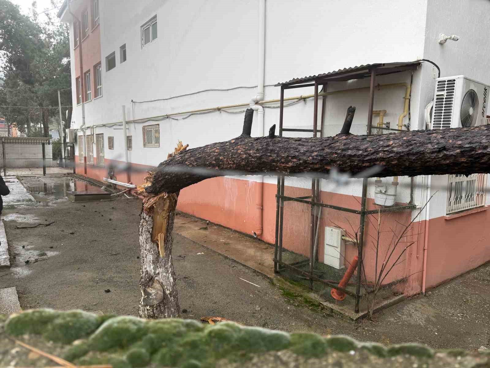 Yağmur ve şiddetli rüzgar çam ağacını devirdi, otomobil zarar gördü
