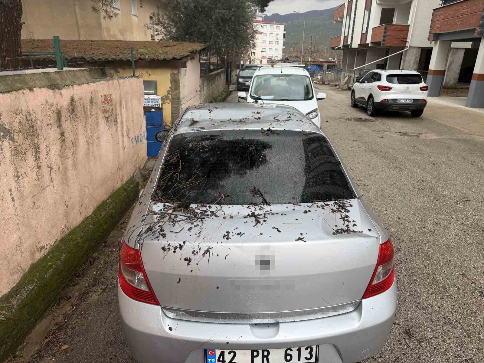 Yağmur ve şiddetli rüzgar çam ağacını devirdi, otomobil zarar gördü
