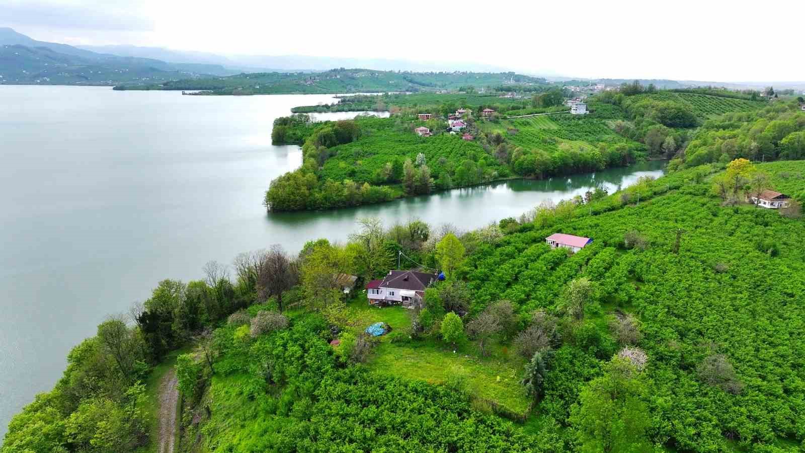 Yağmurlar Samsun’a içme suyu sağlayan barajları doldurup taşırdı
