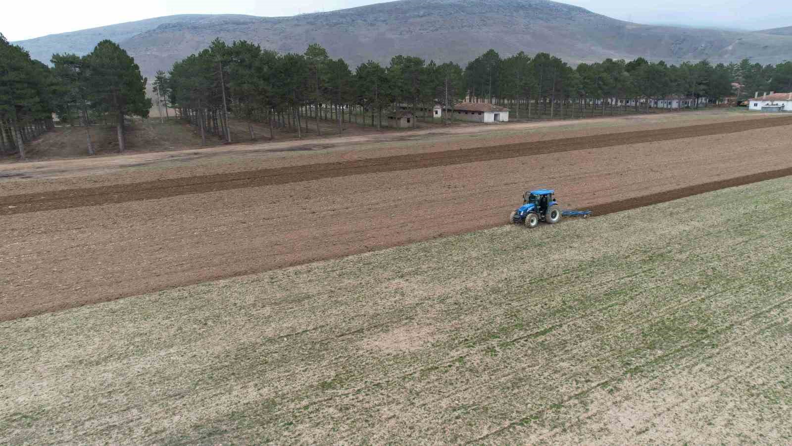 Yahyalı’nın yarım asırlık mirası yeniden canlandı
