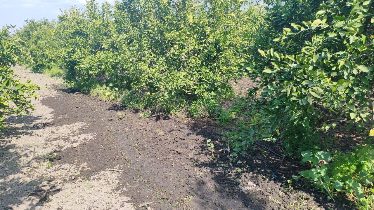 Yakıt yüklü tankerin portakal bahçesine uçtuğu anlar araç kamerasında
