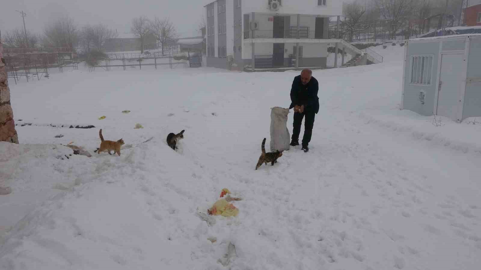 Yaklaşık 2 bin nüfuslu köyde kışın sadece bir aile yaşıyor
