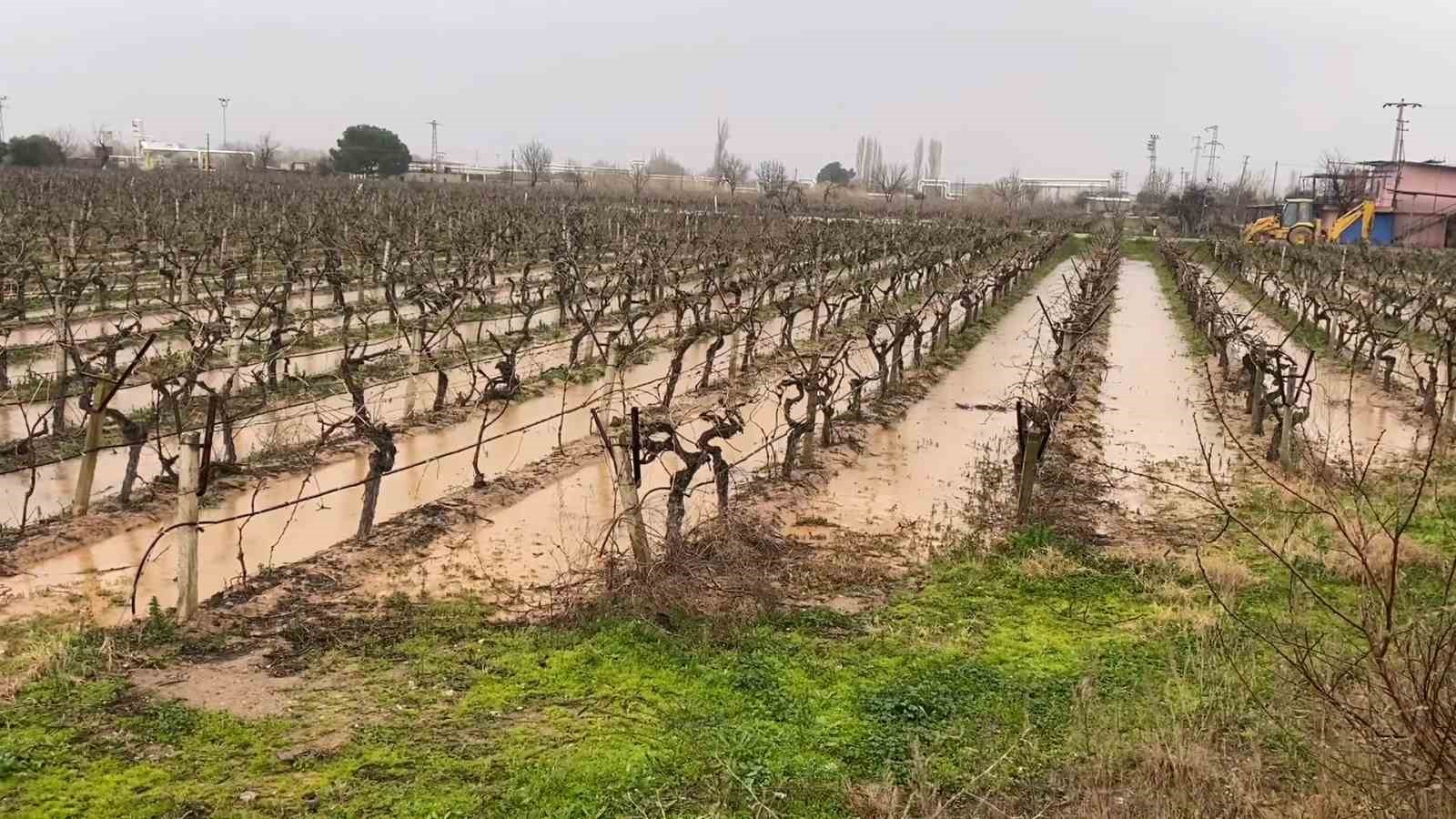 Yalancı bahar aldattı, badem ağaçları çiçek açtı
