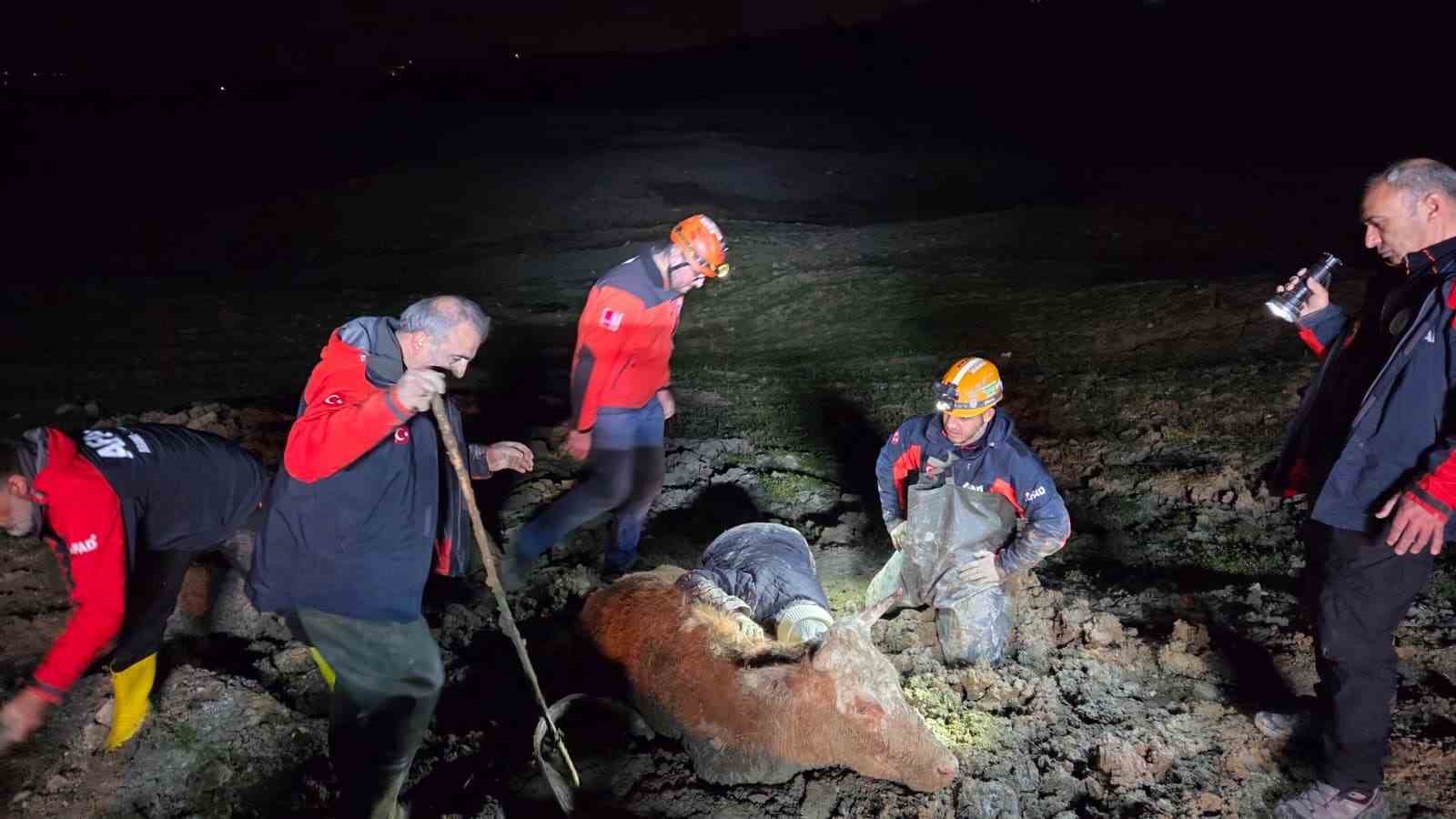 Yalova’da bataklıkta mahsur kalan vatandaş ve büyükbaş hayvanı kurtarıldı
