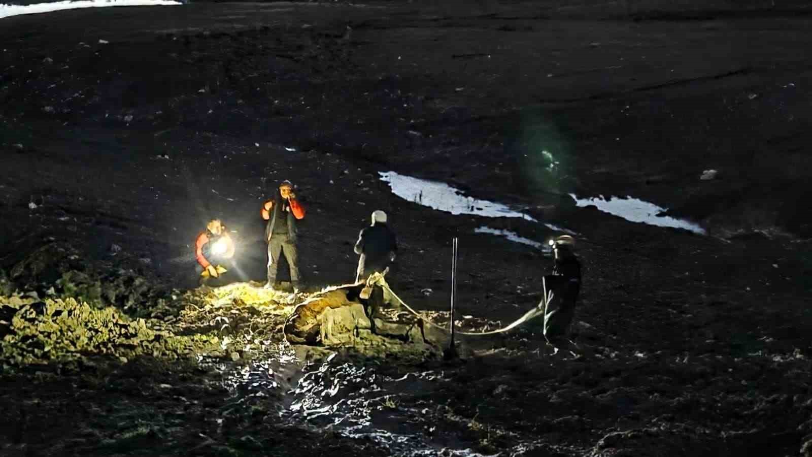 Yalova’da bataklıkta mahsur kalan vatandaş ve büyükbaş hayvanı kurtarıldı
