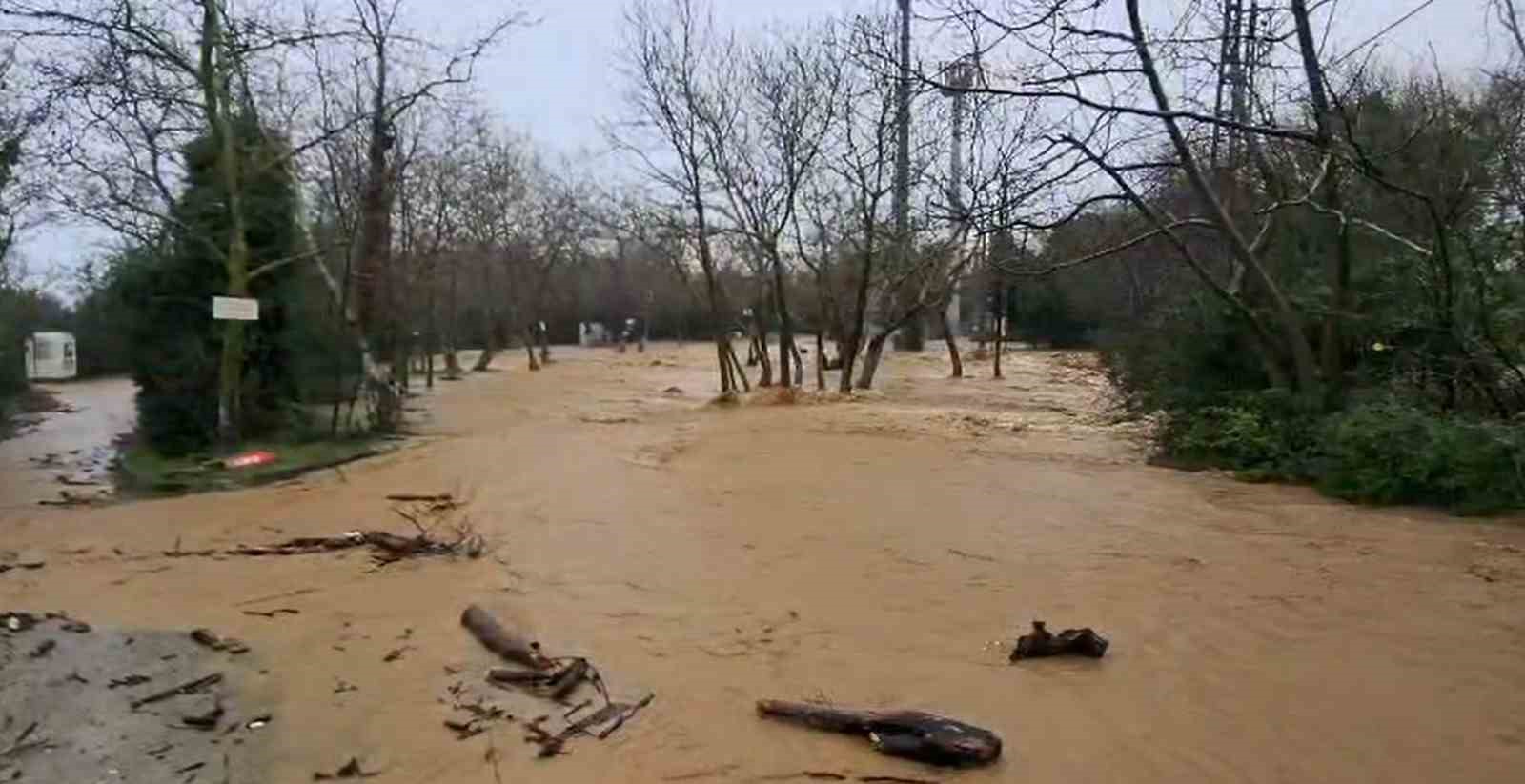 Yalova’da sağanak yağışta dereler taştı, 5 büyükbaş hayvan telef oldu
