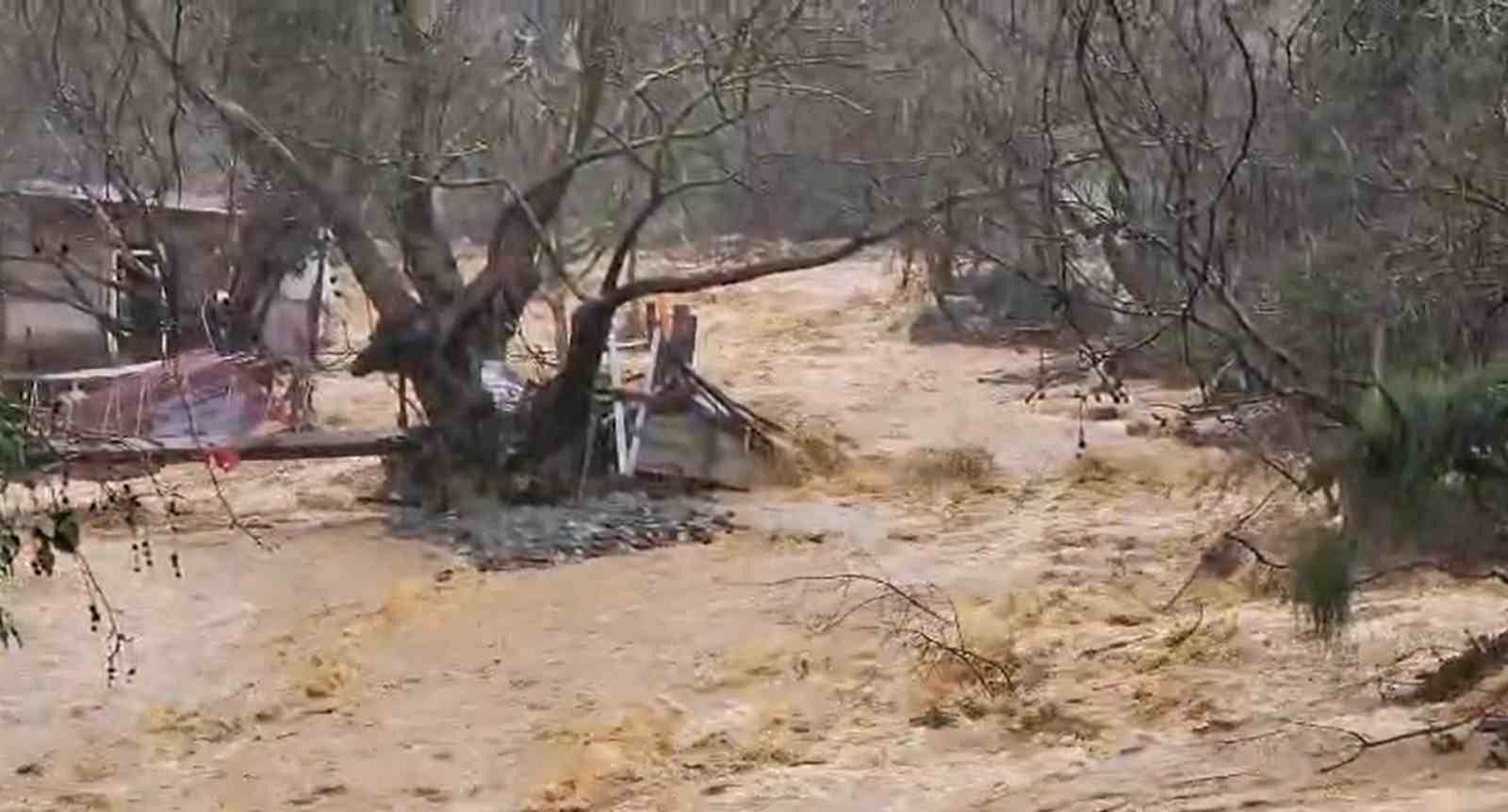Yalova’da sağanak yağışta dereler taştı, 5 büyükbaş hayvan telef oldu
