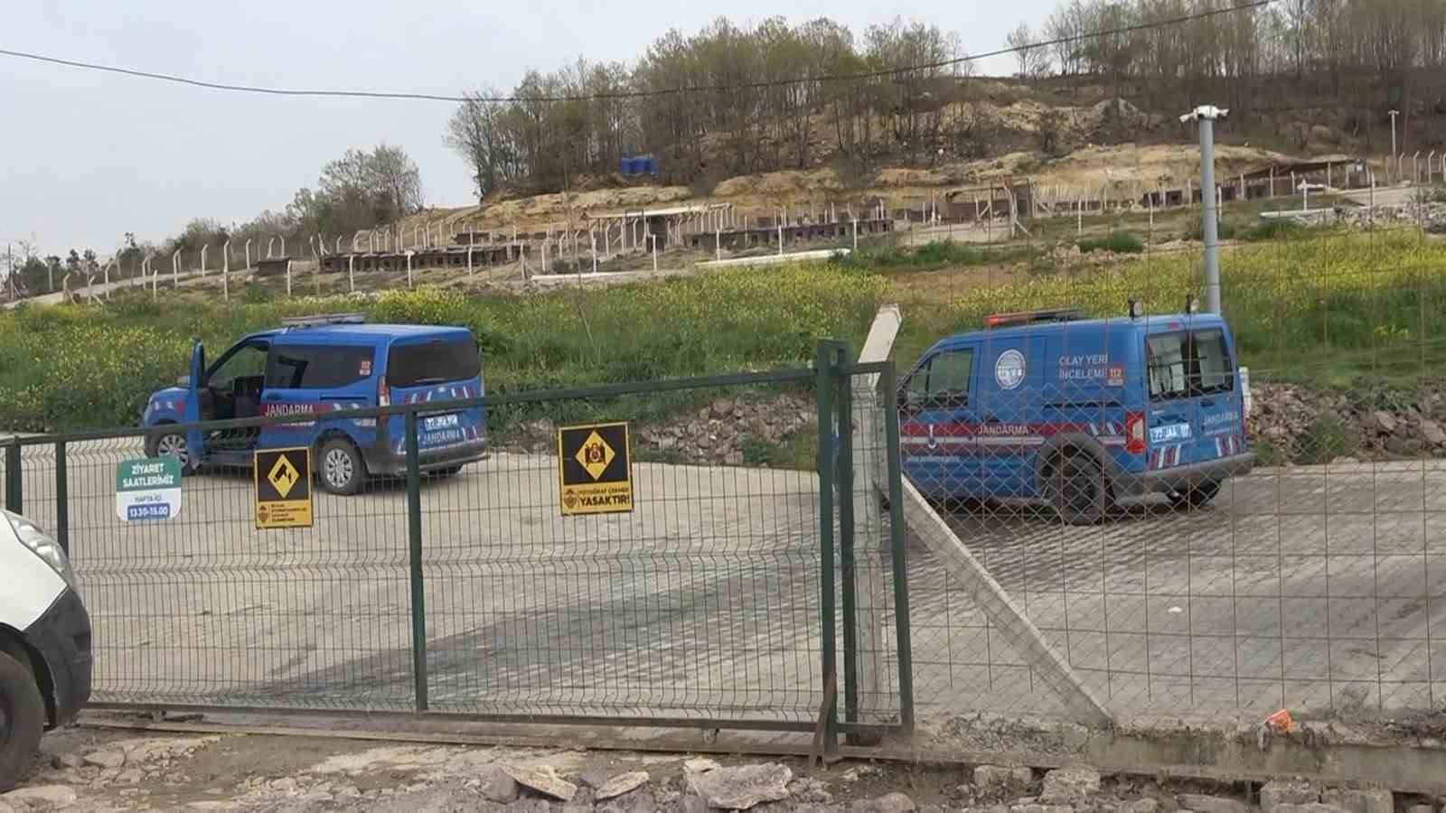 Yalova’daki barınakta köpek ölümleriyle ilgili soruşturma
