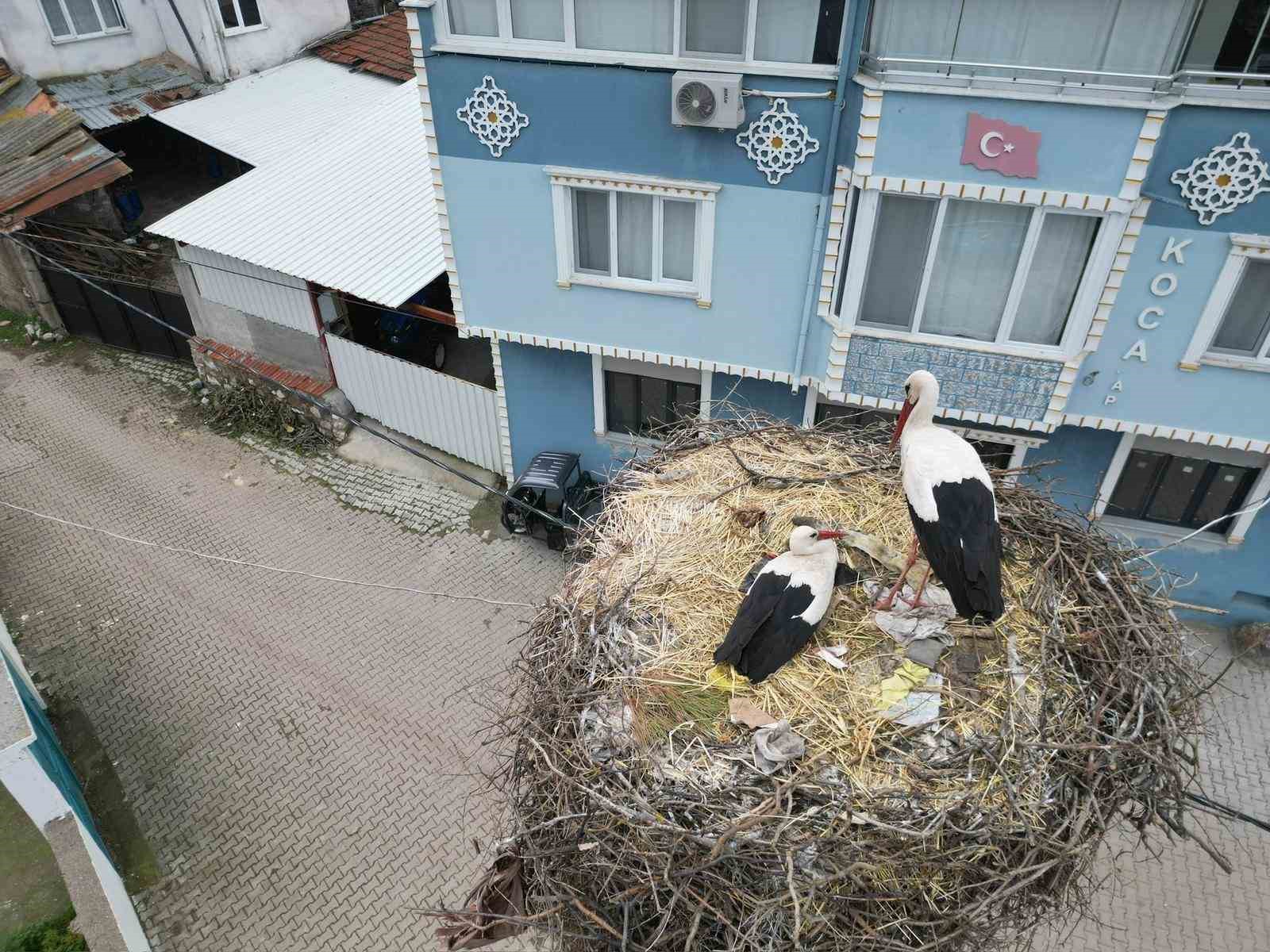 Yaren Leylek ve Adem amcaya yoğun ilgi
