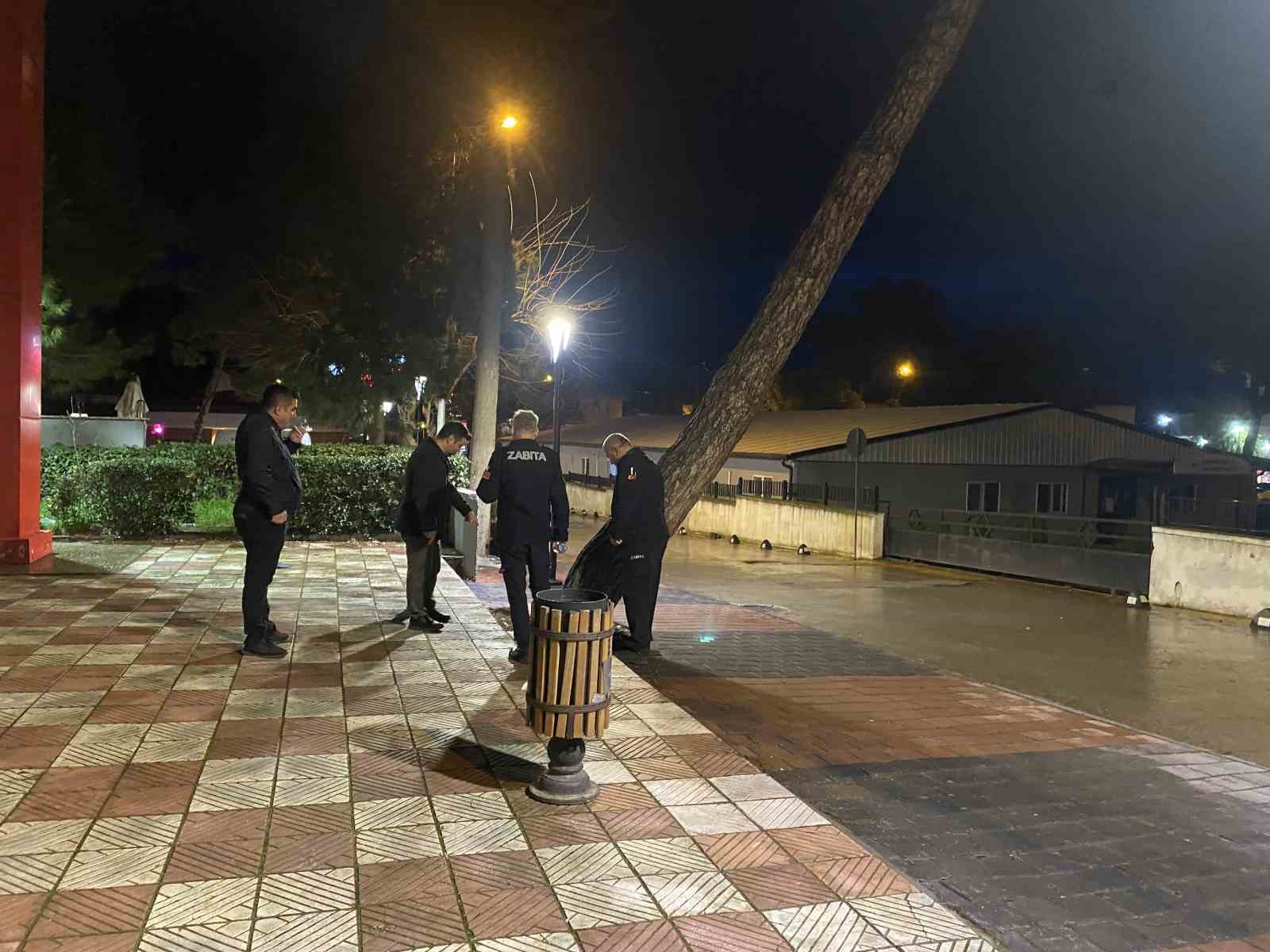 Yarım asırlık çam ağacı fırtınaya dayanamadı
