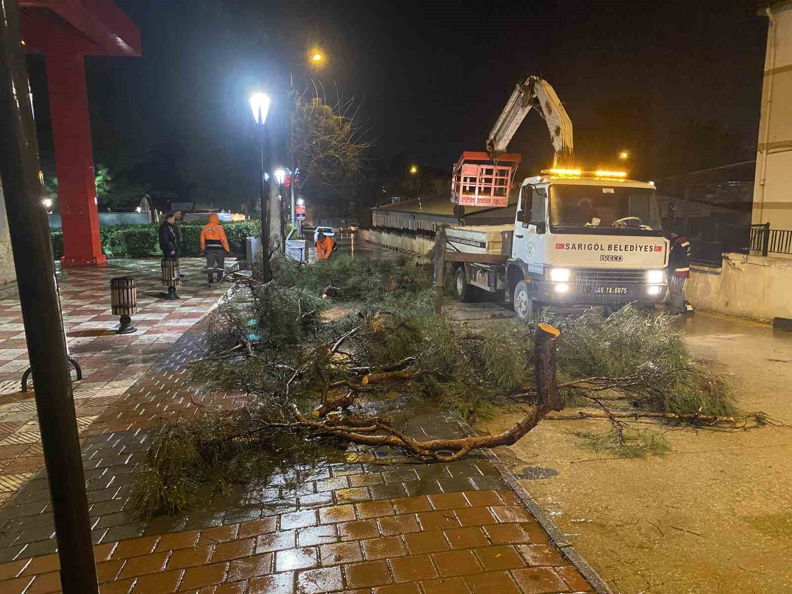 Yarım asırlık çam ağacı fırtınaya dayanamadı
