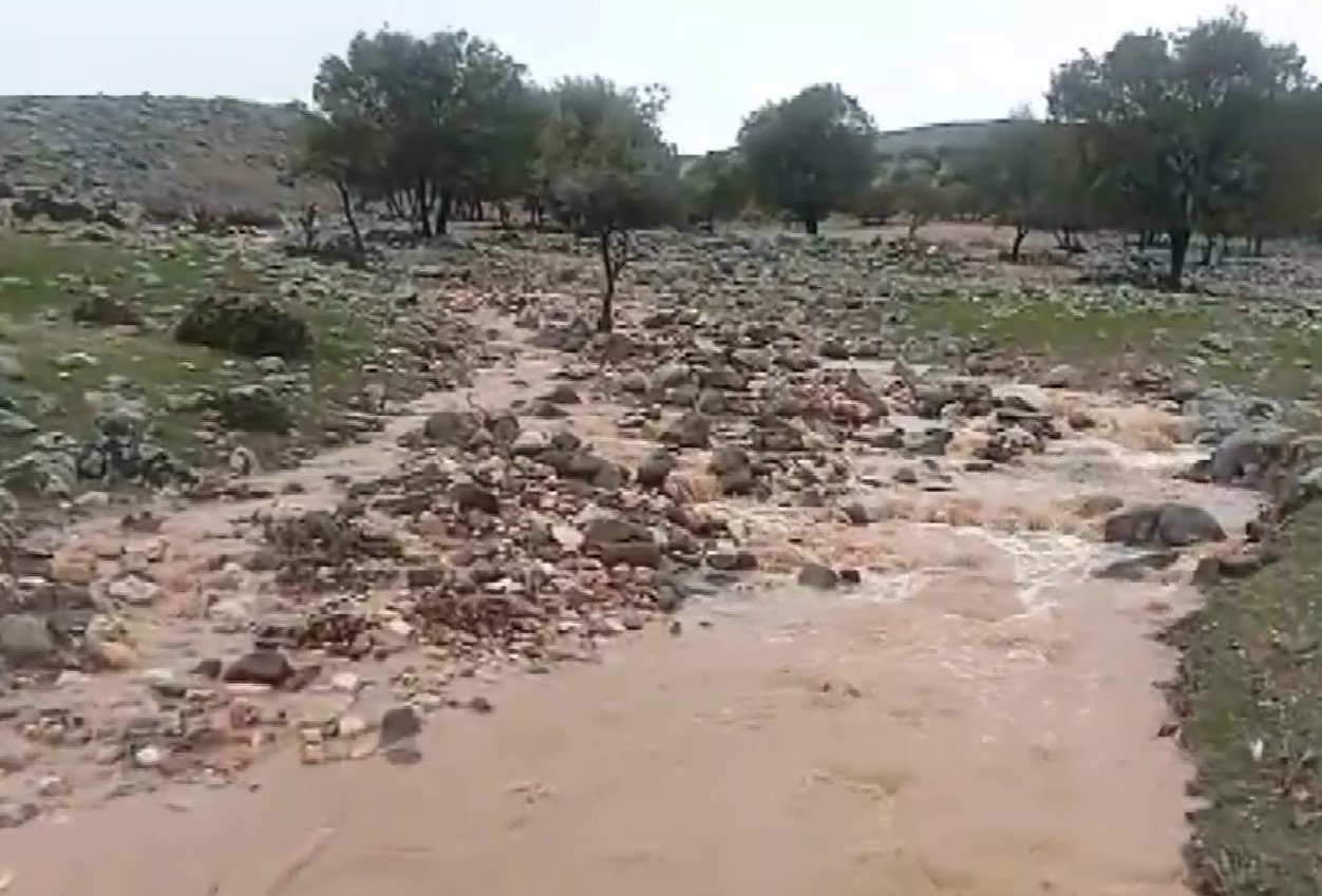 Yavuzeli ilçesinde yağış etkili oldu
