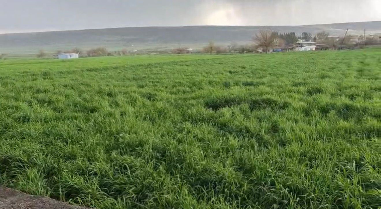 Yavuzeli’nde nohut büyüklüğünde dolu yağdı
