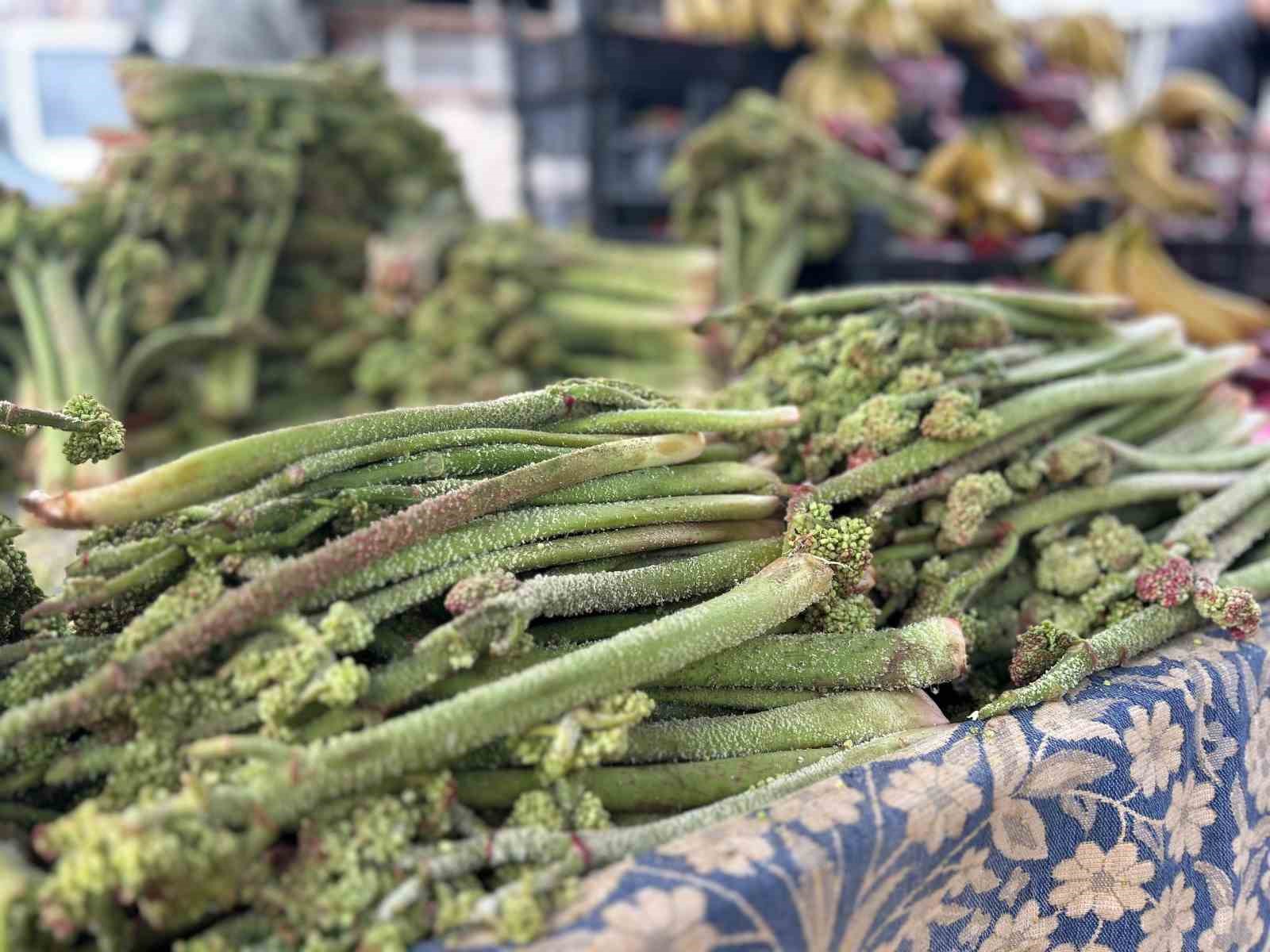 Yayla muzu uçkun tezgaha çıktı
