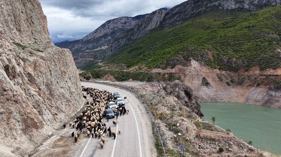 Yayla yolunda zorlu göçler başladı
