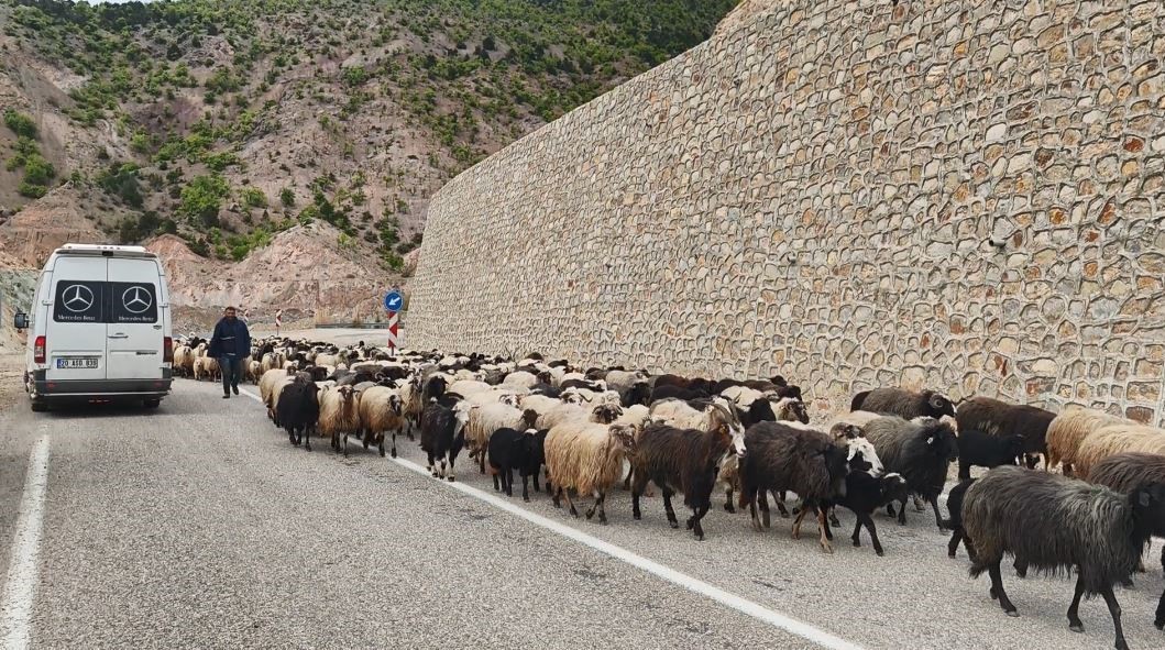Yayla yolunda zorlu göçler başladı
