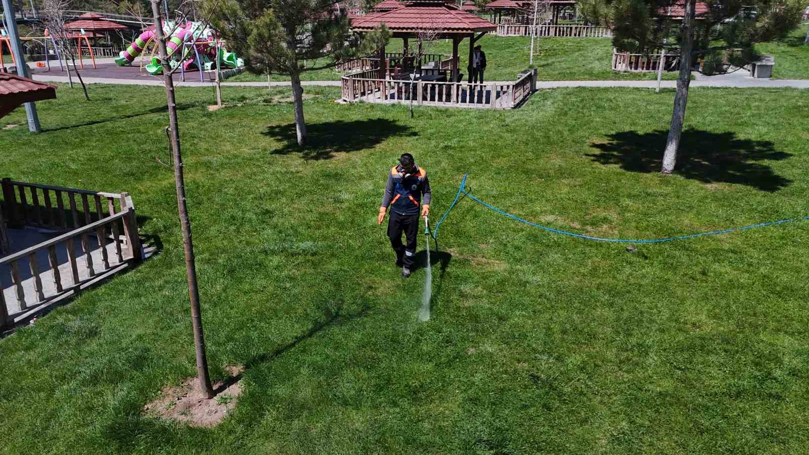 Yaz aylarının korkulu rüyası kenelere karşı hem havadan ve hem karadan mücadele başladı
