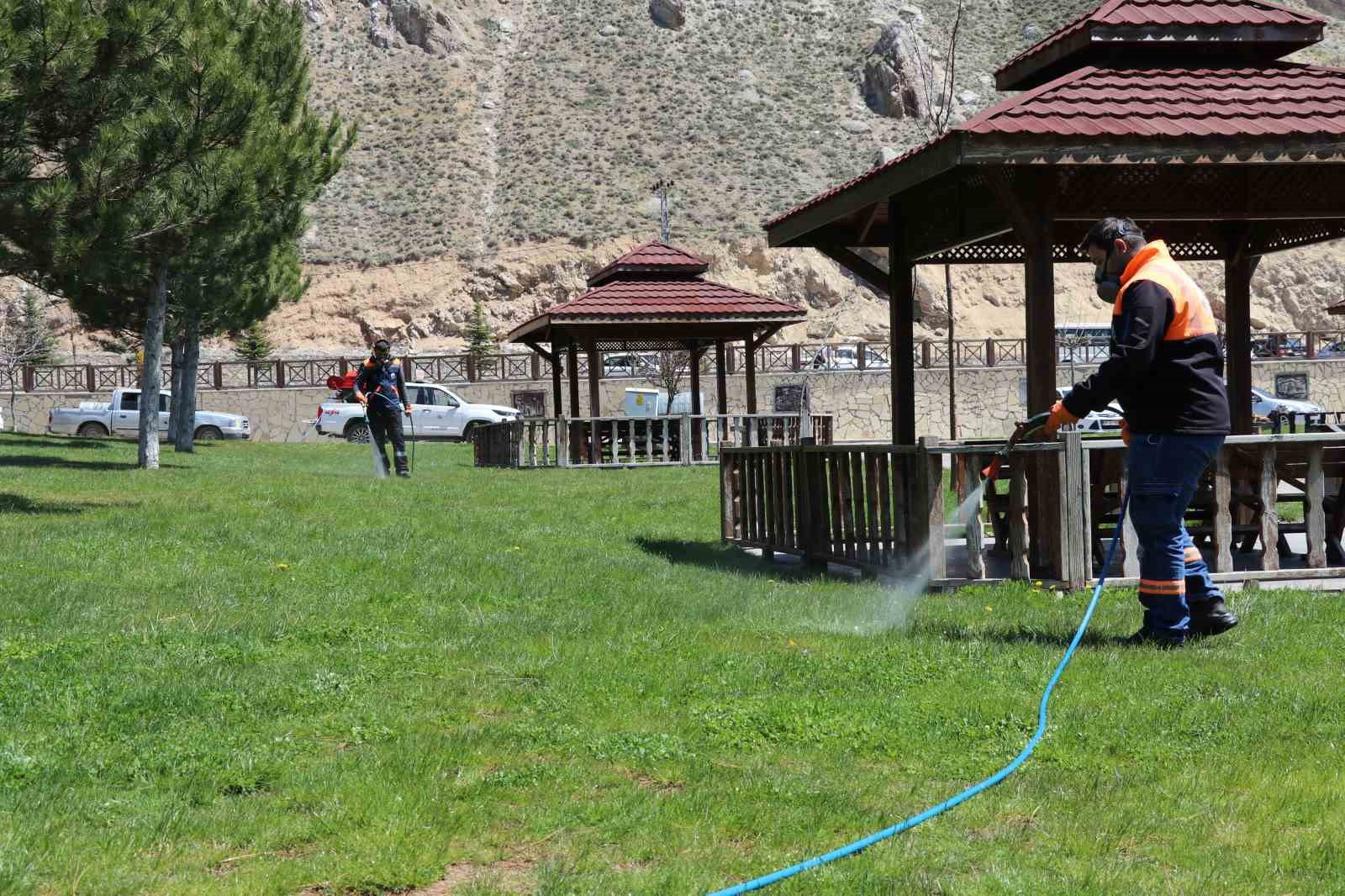 Yaz aylarının korkulu rüyası kenelere karşı hem havadan ve hem karadan mücadele başladı
