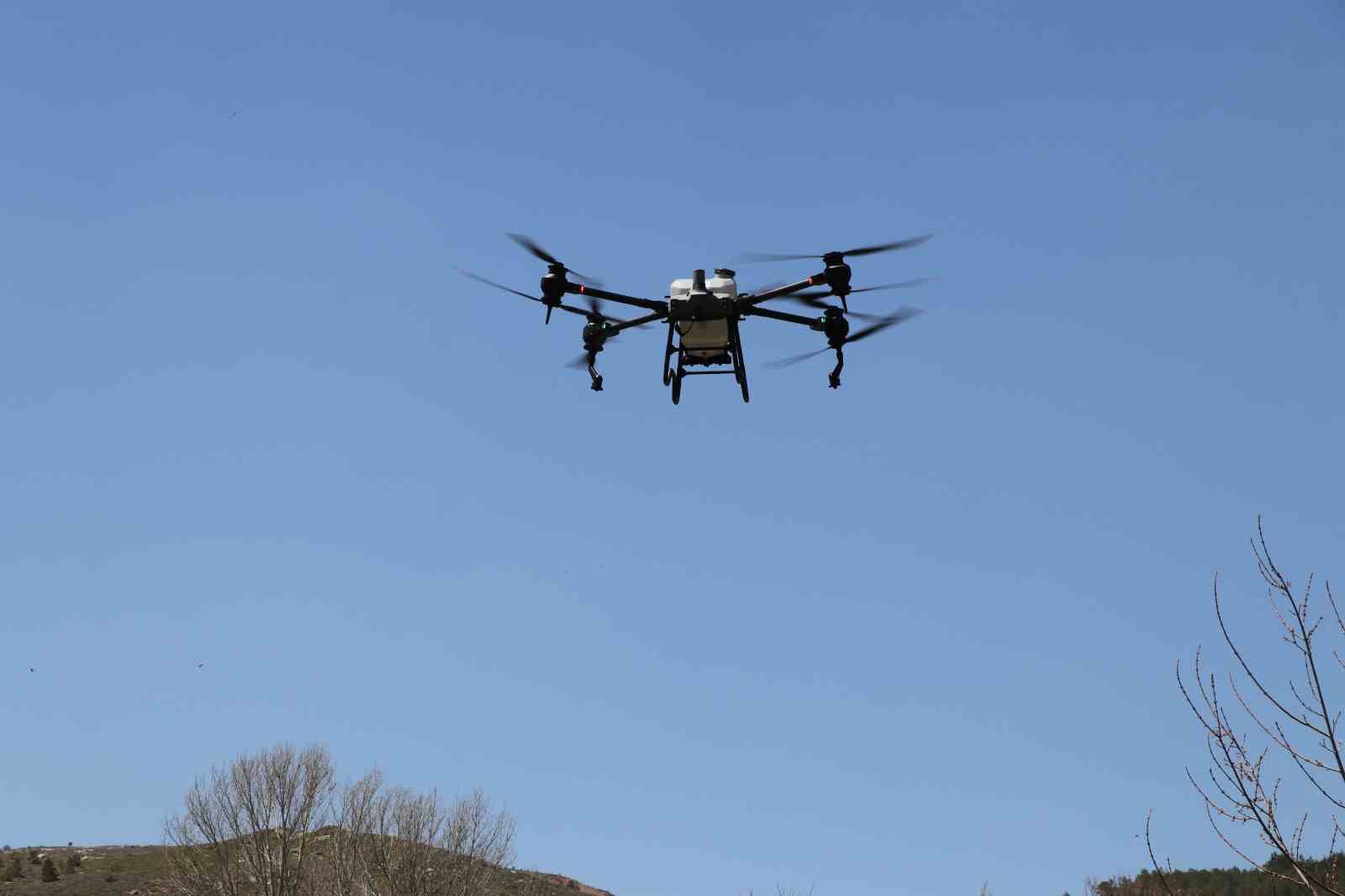 Yaz aylarının korkulu rüyası kenelere karşı hem havadan ve hem karadan mücadele başladı
