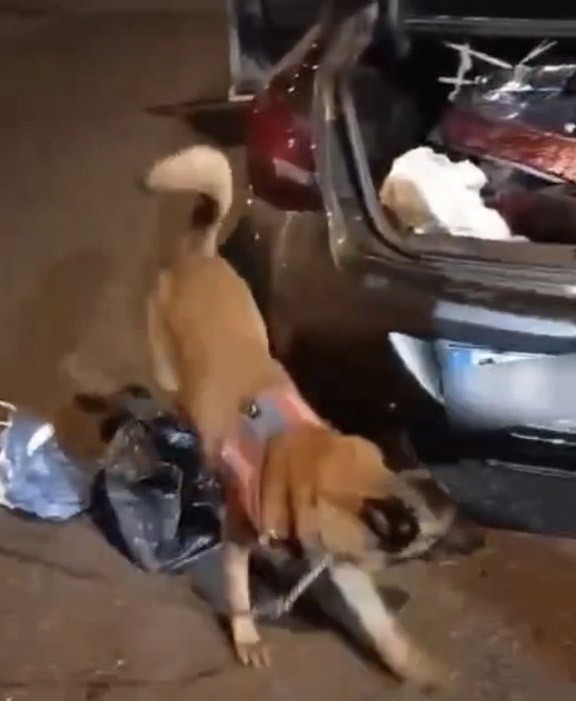 Yedek lastikten 2 kilo esrar çıktı
