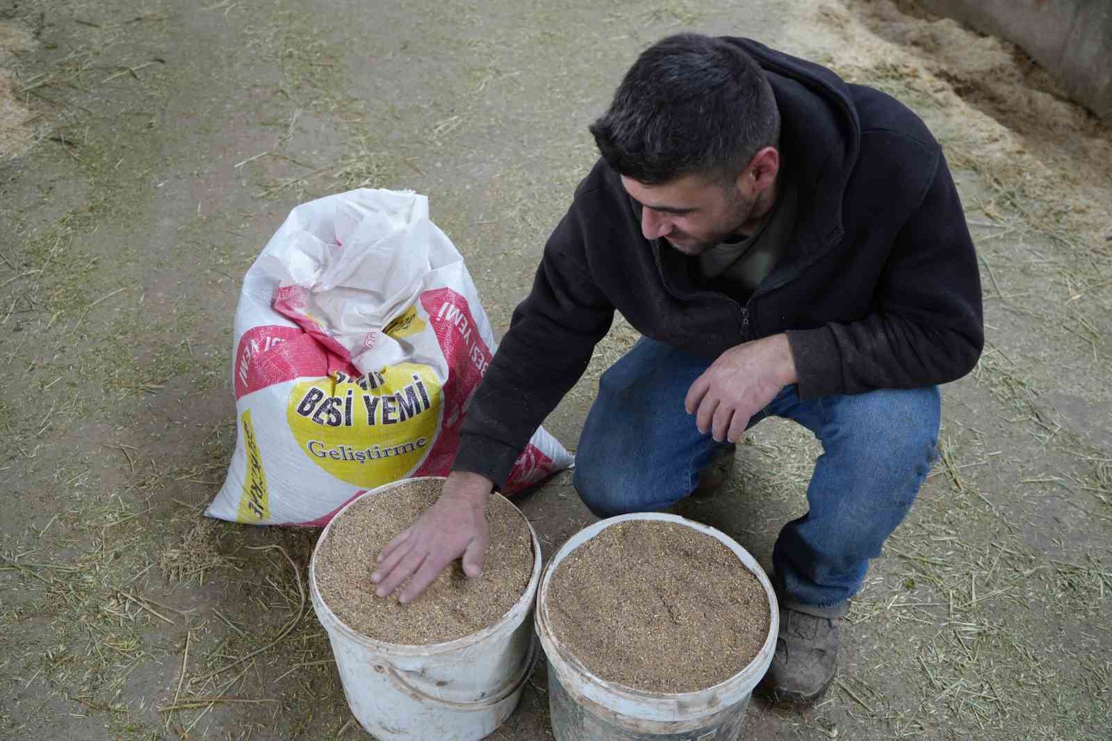 Yem desteği Bayburtlu çiftçinin yüzünü güldürdü: "Bu destek bize iyi geldi"
