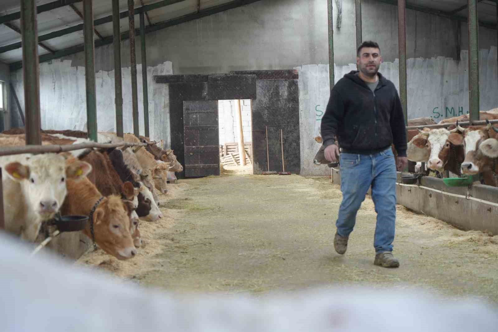 Yem desteği Bayburtlu çiftçinin yüzünü güldürdü: "Bu destek bize iyi geldi"
